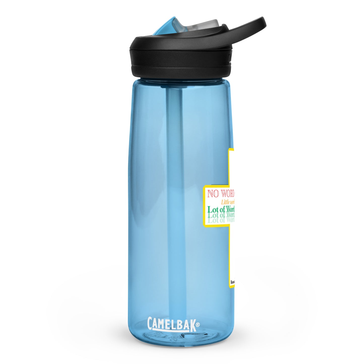 Sports water bottle
