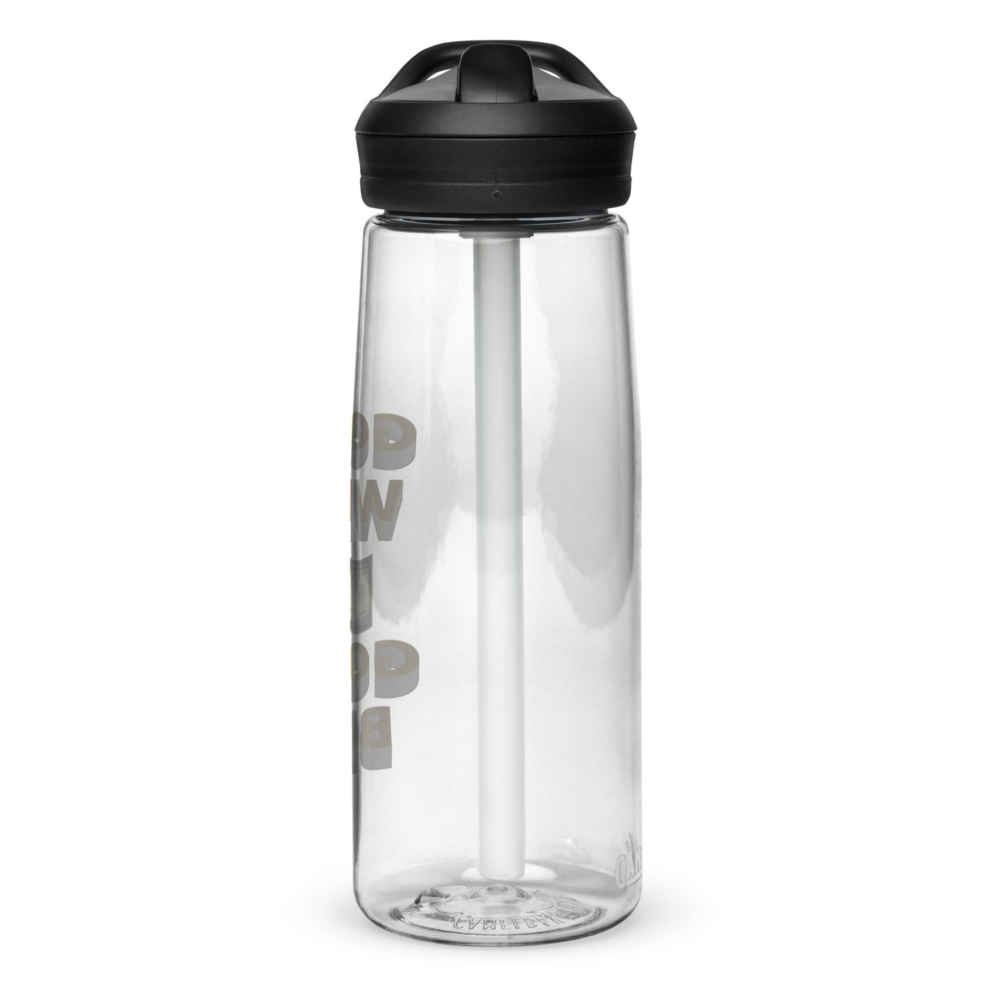 Sports water bottle