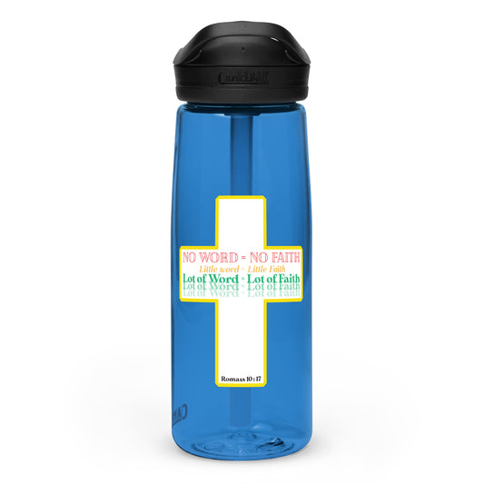 Sports water bottle